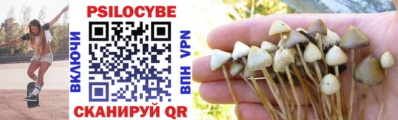 Купить закладки  Раменское  Псилоцибиновые грибы Magic Shrooms 
