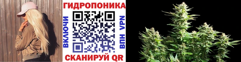 Купить  Раменское  Каннабис VHQ 